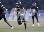 Photo from the gallery "Pine Forest @ Gray's Creek"