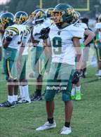 Photo from the gallery "Pine Forest @ Gray's Creek"