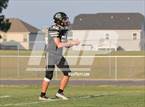 Photo from the gallery "Pine Forest @ Gray's Creek"
