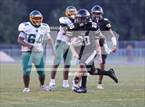 Photo from the gallery "Pine Forest @ Gray's Creek"