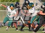 Photo from the gallery "Pine Forest @ Gray's Creek"