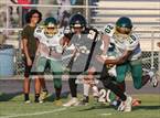Photo from the gallery "Pine Forest @ Gray's Creek"