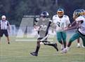 Photo from the gallery "Pine Forest @ Gray's Creek"