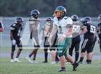 Photo from the gallery "Pine Forest @ Gray's Creek"