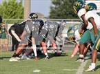 Photo from the gallery "Pine Forest @ Gray's Creek"