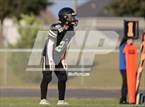 Photo from the gallery "Pine Forest @ Gray's Creek"