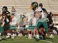 Photo from the gallery "Pine Forest @ Gray's Creek"