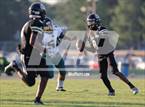 Photo from the gallery "Pine Forest @ Gray's Creek"