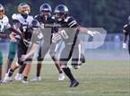 Photo from the gallery "Pine Forest @ Gray's Creek"