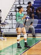 Photo from the gallery "Riverview @ Sumner"