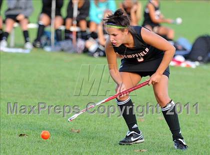Thumbnail 3 in Hempfield @ J.P. McCaskey photogallery.