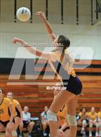 Photo from the gallery "D.H. Conley @ Havelock"