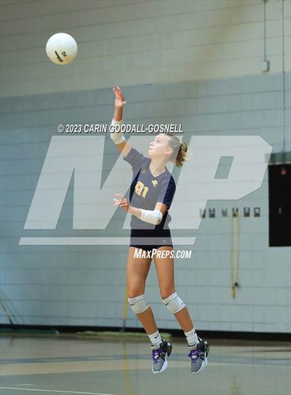 Thumbnail 2 in D.H. Conley @ Havelock photogallery.