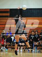 Photo from the gallery "D.H. Conley @ Havelock"