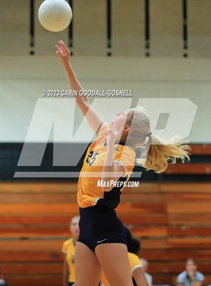 Thumbnail 1 in D.H. Conley @ Havelock photogallery.