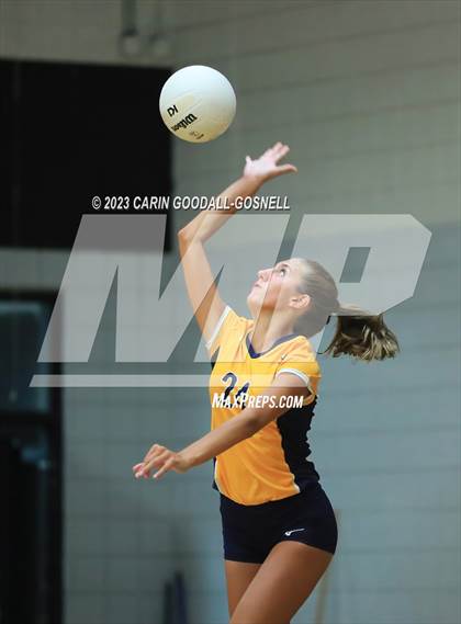 Thumbnail 2 in D.H. Conley @ Havelock photogallery.