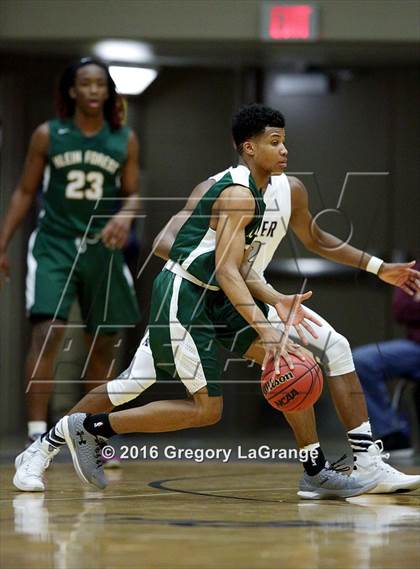 Thumbnail 3 in Klein Forest vs Keller  photogallery.