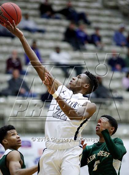 Thumbnail 2 in Klein Forest vs Keller  photogallery.