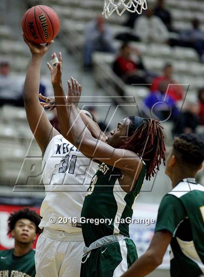 Thumbnail 1 in Klein Forest vs Keller  photogallery.