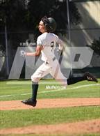 Photo from the gallery "San Pedro @ Narbonne"