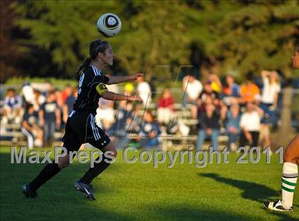 Thumbnail 2 in Thurston @ Springfield photogallery.