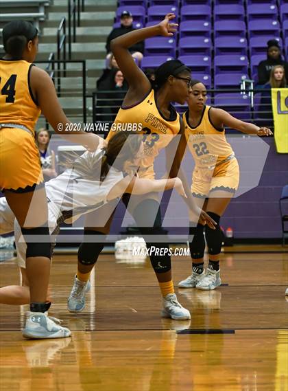 Thumbnail 3 in Pine Tree @ Hallsville photogallery.