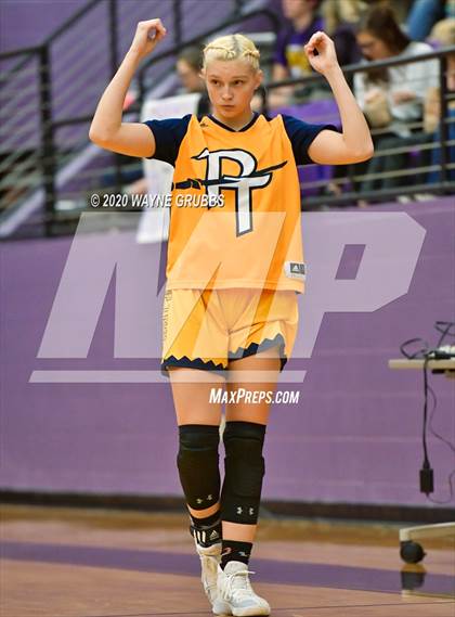 Thumbnail 2 in Pine Tree @ Hallsville photogallery.
