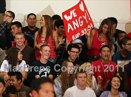 Thumbnail 1 in Burbank vs. Burroughs photogallery.