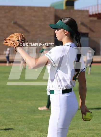 Thumbnail 2 in Cactus Shadows @ Horizon photogallery.