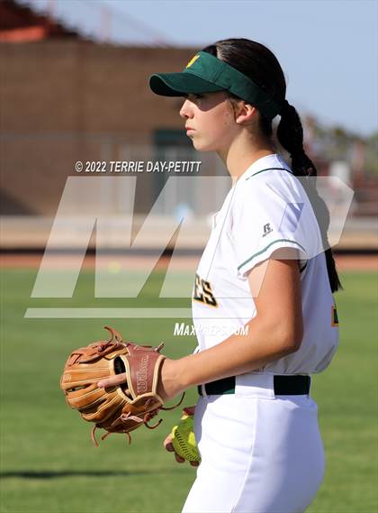 Thumbnail 1 in Cactus Shadows @ Horizon photogallery.