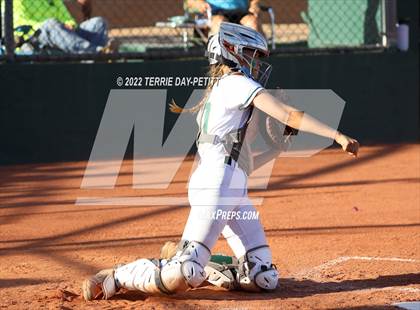 Thumbnail 1 in Cactus Shadows @ Horizon photogallery.