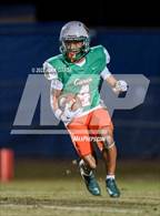 Photo from the gallery "Alamo Heights @ Sam Houston"