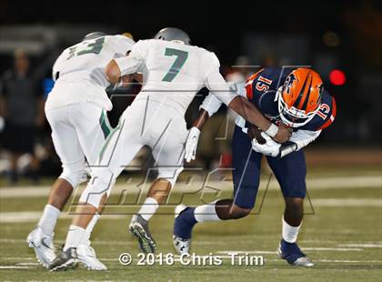 Thumbnail 1 in River Valley @ Cosumnes Oaks photogallery.