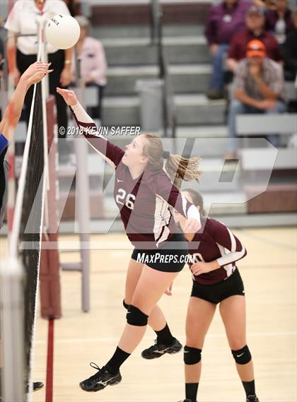 Thumbnail 3 in Flagler/Hi-Plains @ Idalia photogallery.