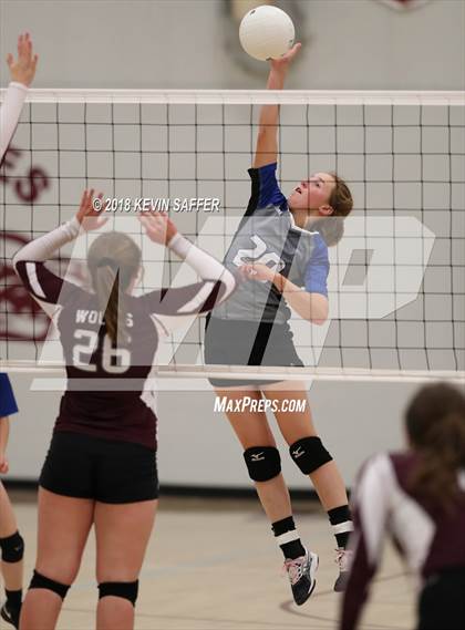 Thumbnail 3 in Flagler/Hi-Plains @ Idalia photogallery.