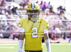 Photo from the gallery "Harlan @ Holmes"