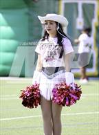 Photo from the gallery "Harlan @ Holmes"