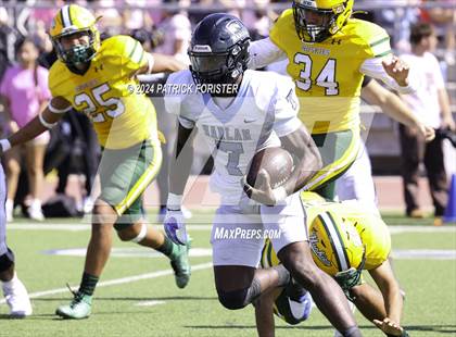Thumbnail 3 in Harlan @ Holmes photogallery.