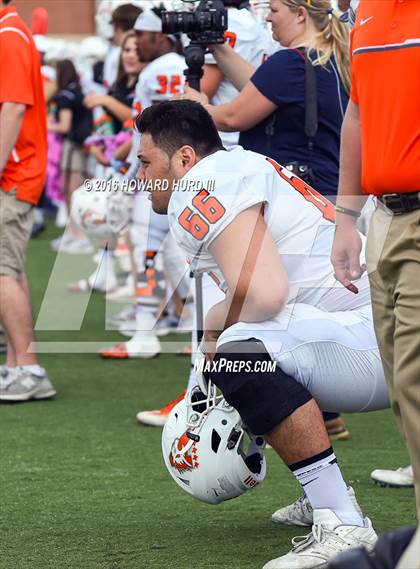 Thumbnail 3 in Aledo @ V.R. Eaton photogallery.