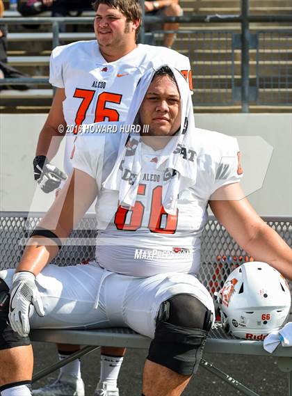 Thumbnail 3 in Aledo @ V.R. Eaton photogallery.