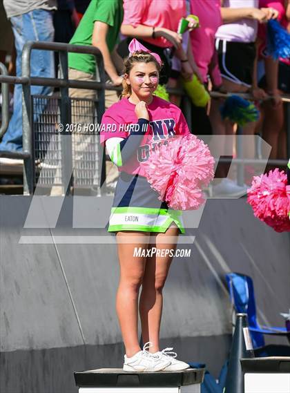 Thumbnail 2 in Aledo @ V.R. Eaton photogallery.
