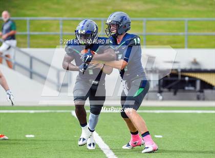 Thumbnail 1 in Aledo @ V.R. Eaton photogallery.