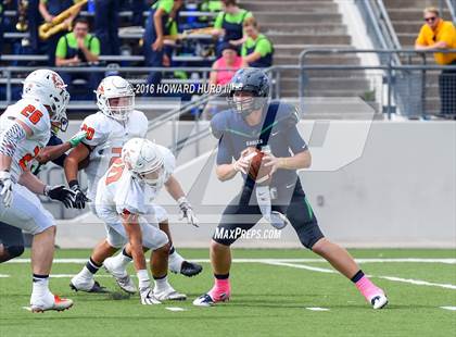 Thumbnail 1 in Aledo @ V.R. Eaton photogallery.