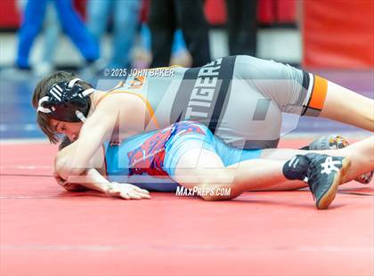 Thumbnail 1 in Lovelock Mustangs Tournament (106lbs) photogallery.