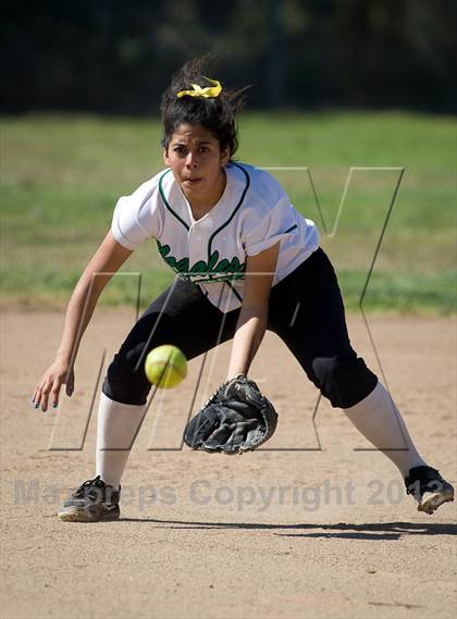 Thumbnail 2 in Pomona @ Nogales photogallery.