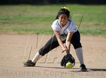 Thumbnail 1 in Pomona @ Nogales photogallery.