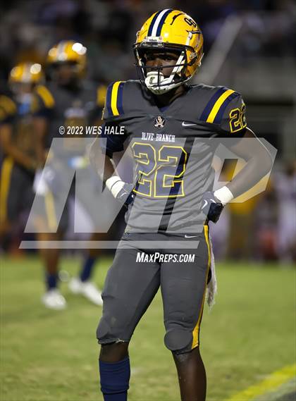 Thumbnail 2 in Olive Branch @ DeSoto Central photogallery.