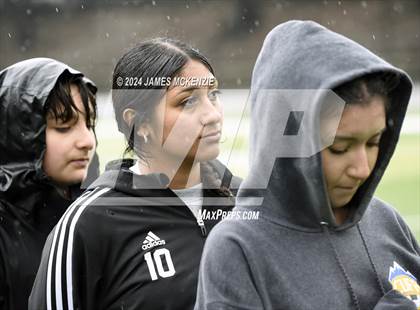 Thumbnail 3 in Everett Alvarez @ Marin Catholic (CIF NorCal Division 4 Final) photogallery.