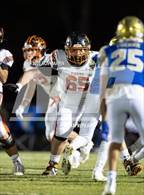 Photo from the gallery "Douglas @ Reed"