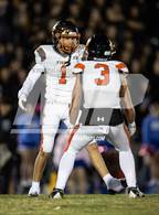 Photo from the gallery "Douglas @ Reed"